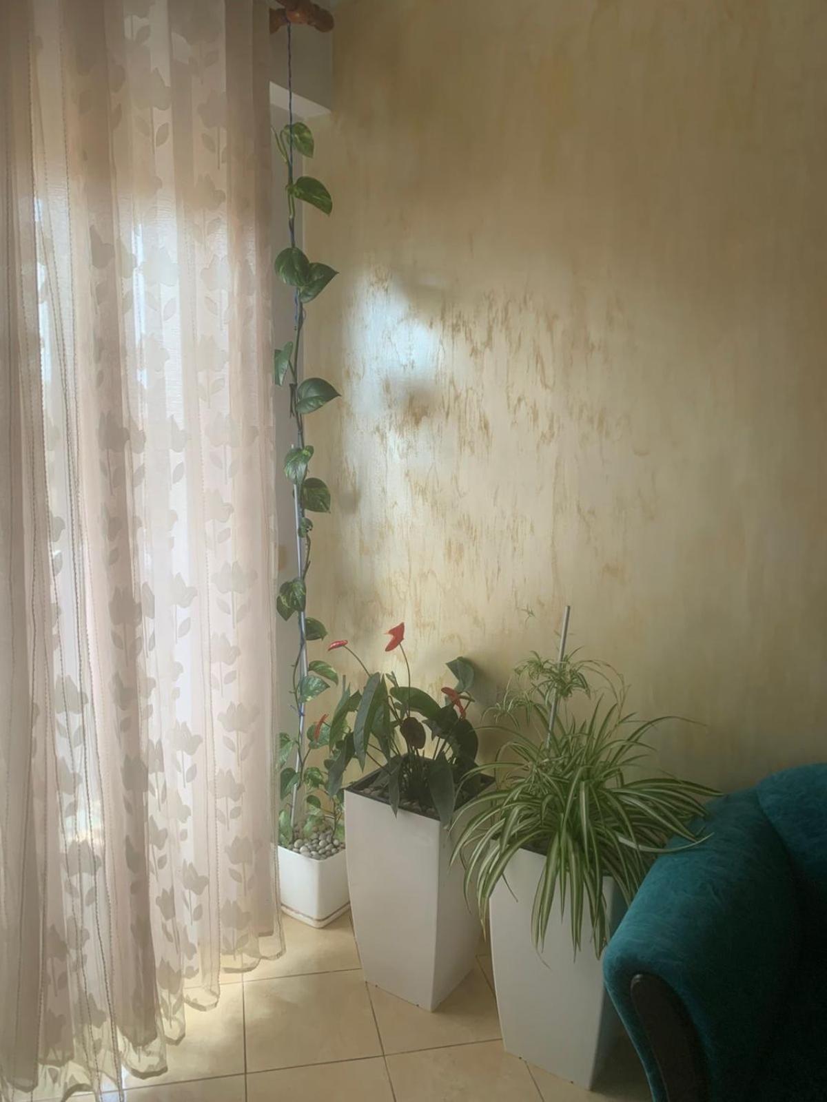 Guest House Fier Ngoại thất bức ảnh
